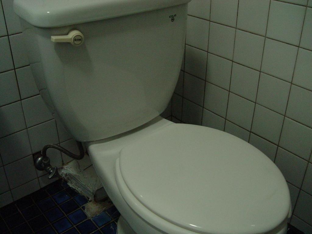 Saewha Hostel *