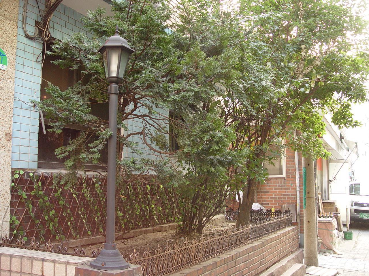 Saewha Hostel *